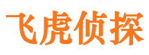 东丰市私家侦探